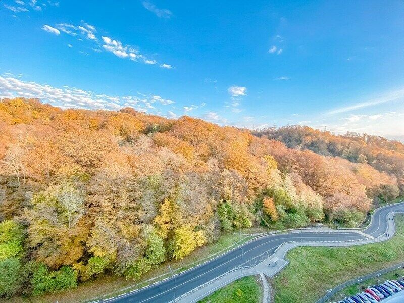 Апартаменты 4-местные (Министерские Озера)