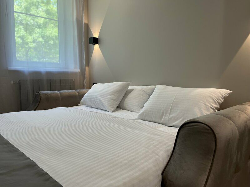 Апартаменты Делюкс 2-местный 1-комнатный