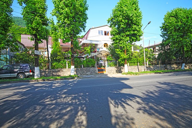 Внешний вид | Серебряный Двор, Гагрский район