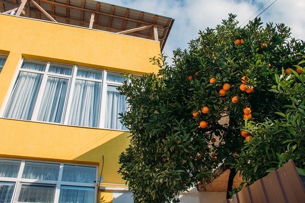 Территория гостиницы | Анна Сария , Гагрский район