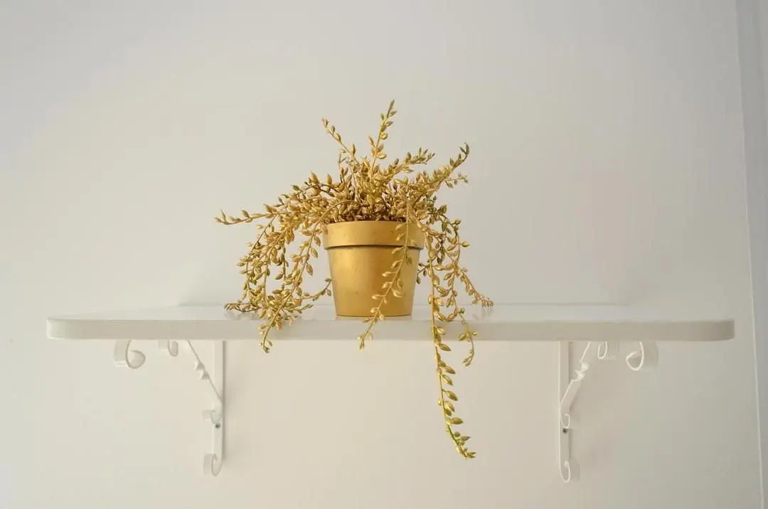 Интерьер | Golden Garden (Екатеренбург), Свердловская область