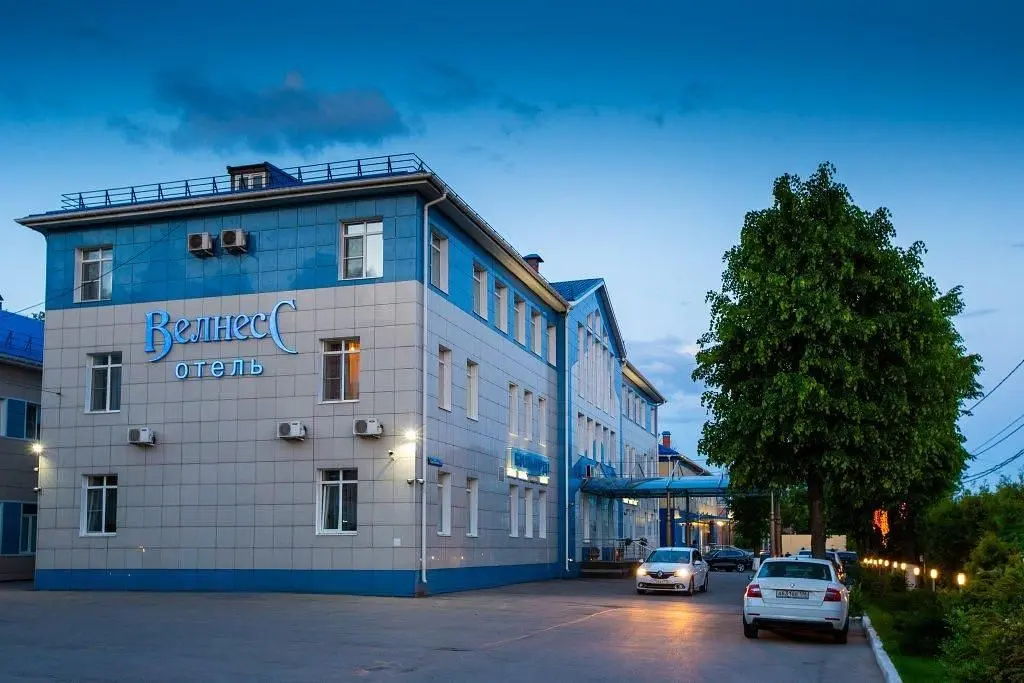 Отель Велнесс, Тула, Тульская область