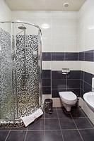 Двухместный номер Standard 2 отдельные кровати, Гостиница Огни Востока, Брянск