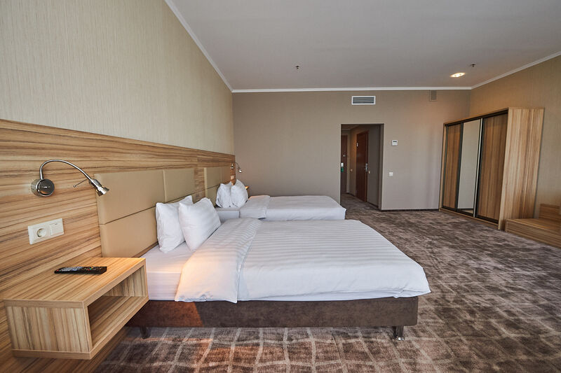 Делюкс 2-местный (TWIN)