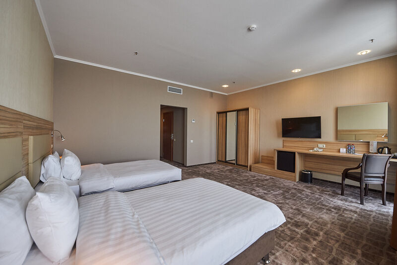 Делюкс 2-местный (TWIN)