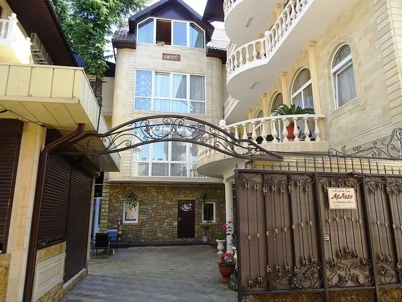 Внешний вид | АрЛиан, Краснодарский край