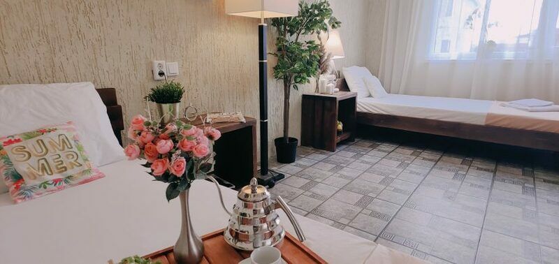 Полулюкс 2-местный (вид на территорию)