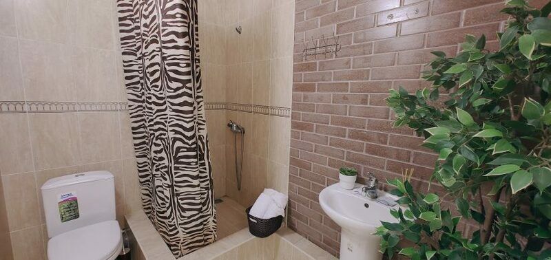 Студио 3-местный (с мини-кухней)