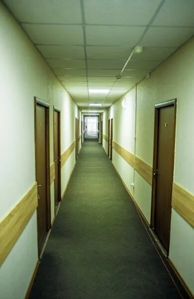 Луга, Ленинградская область: фото 3