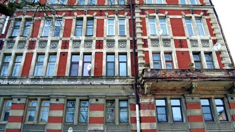 Пихта, Ленинградская область: фото 2