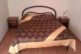 Двухместный номер Standard двуспальная кровать, Мини-Отель Пингвин, Красное Село