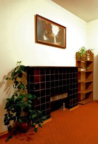 Апартаменты Ульберг, Ленинградская область: фото 4