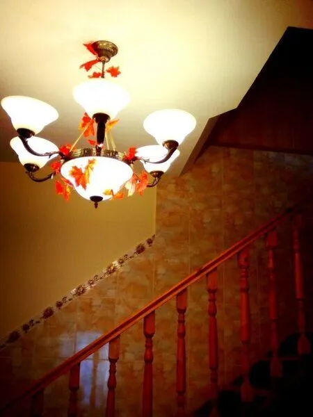 Мини-отель Гостевой Домик, Ленинградская область: фото 3