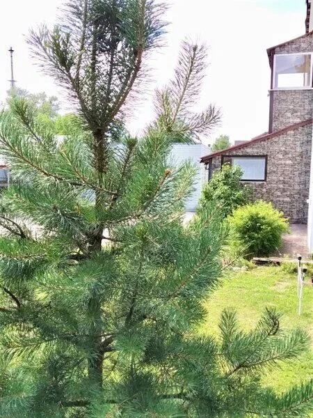 Мини-отель Гостевой Домик, Ленинградская область: фото 5