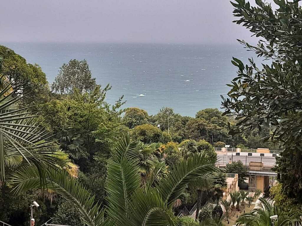 Фото из отзыва от 01.10.2022