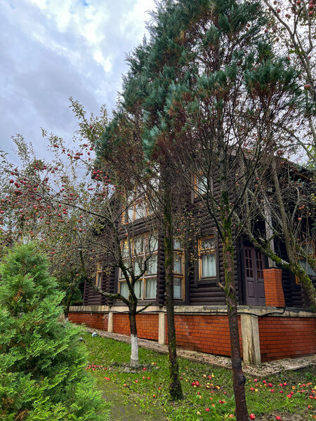 Усадьба Раздолье, Краснодарский край: фото 3