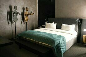 Двухместный номер Standard двуспальная кровать, Парк-отель Сова, Рязань