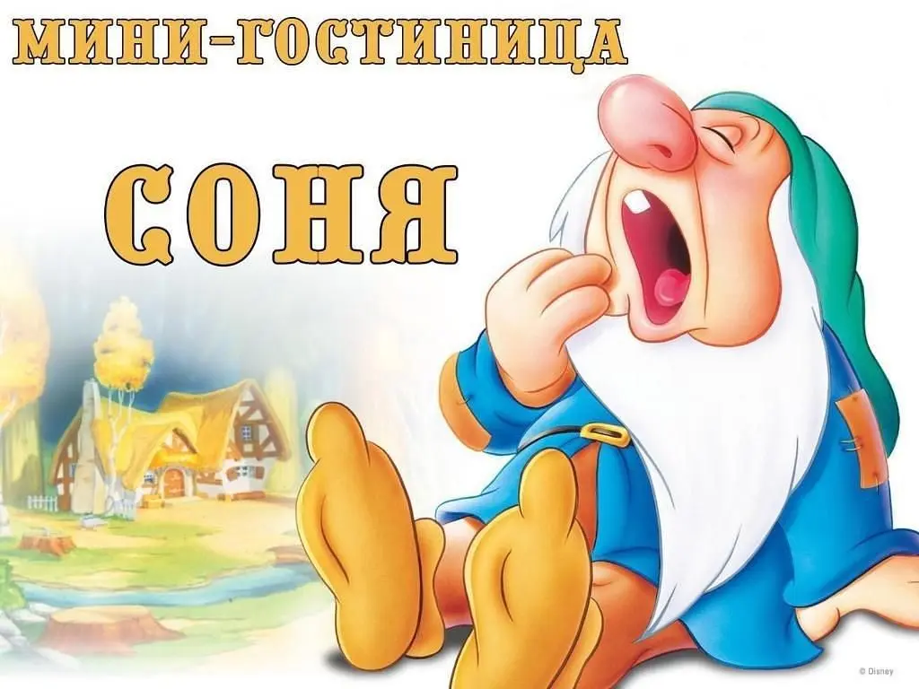 Мини-отель Соня, Петрозаводск, Республика Карелия