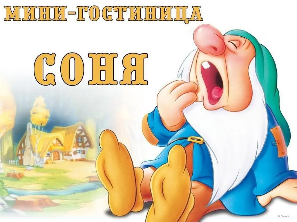 Мини-отель Соня, Петрозаводск, Республика Карелия