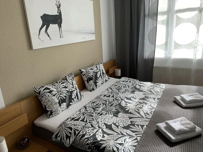 NewStory, Ленинградская область: фото 2