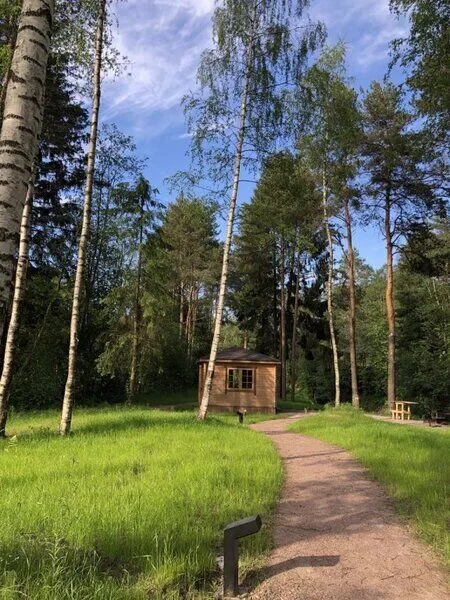 Ohta Park Suite Apartment 22, Ленинградская область: фото 5