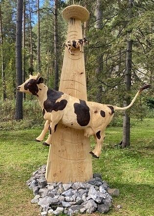 «Внеземное притяжение», команда «Штангенциркуль» Алексей Васюков, Максим Верт (Пермский край, Россия)