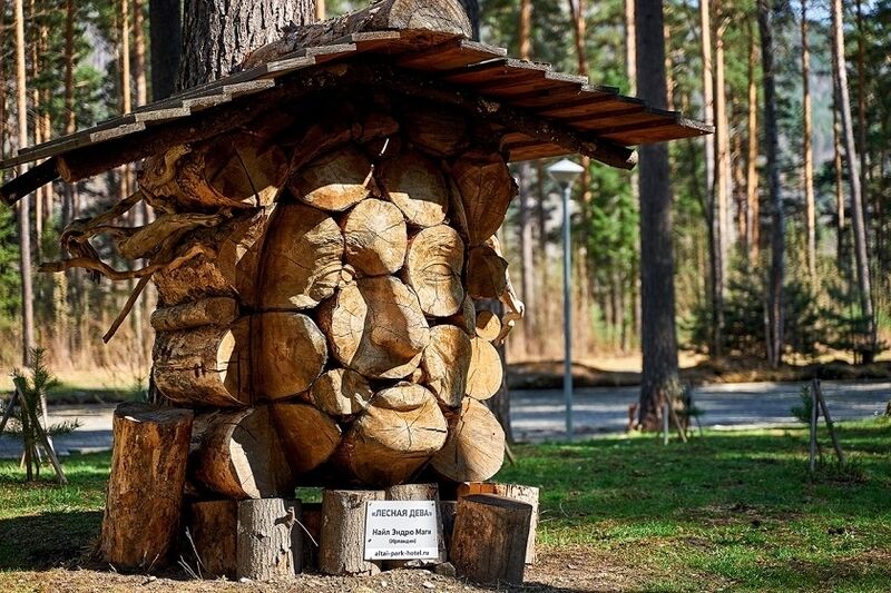 «Лесная дева», Найл Эндрю Маги (Ирландия)