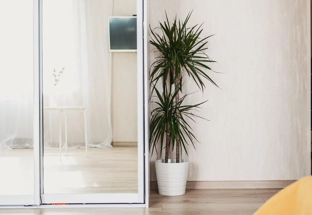 Апартаменты Home Studio Изумруд, Республика Карелия: фото 5