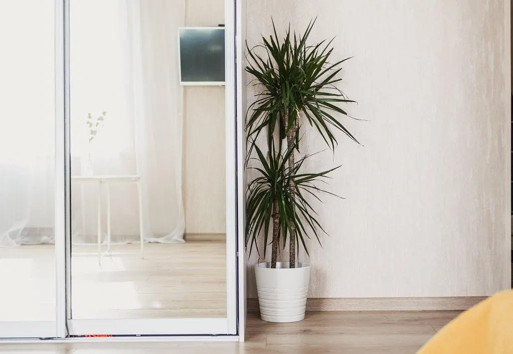 Апартаменты Home Studio Изумруд, Республика Карелия: фото 5