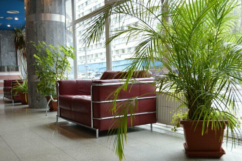 Академическая, Московская область: фото 3