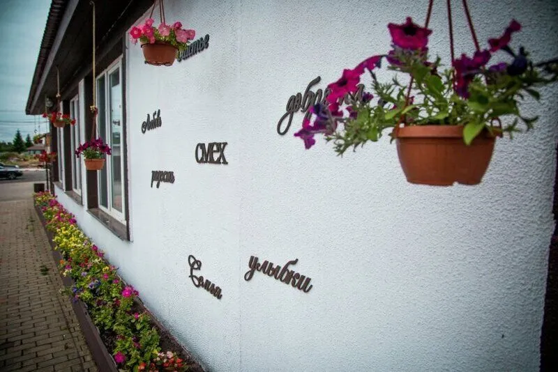 Сойкино, Ленинградская область: фото 2