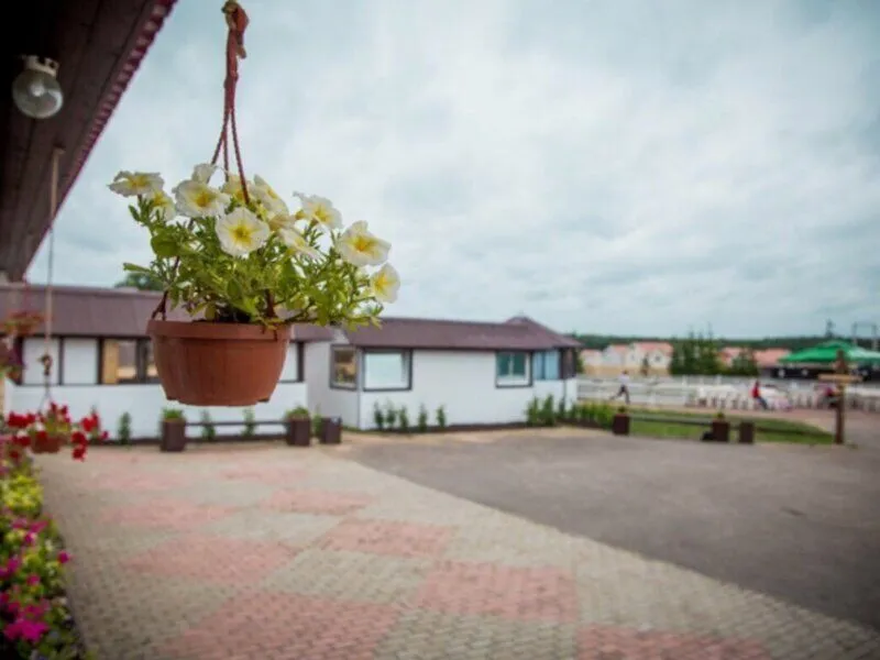 Сойкино, Ленинградская область: фото 3