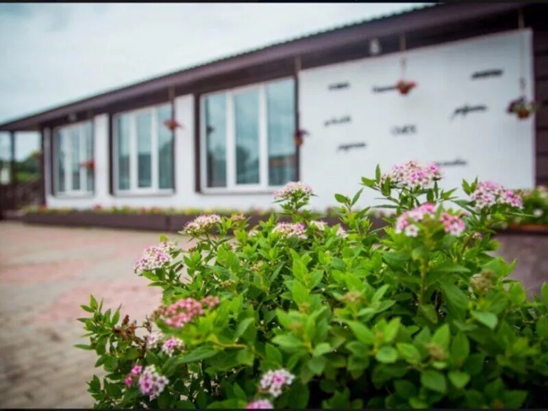 Сойкино, Ленинградская область: фото 4