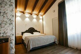 Двухместный номер Deluxe двуспальная кровать, База отдыха Бородинское, Выборгский район
