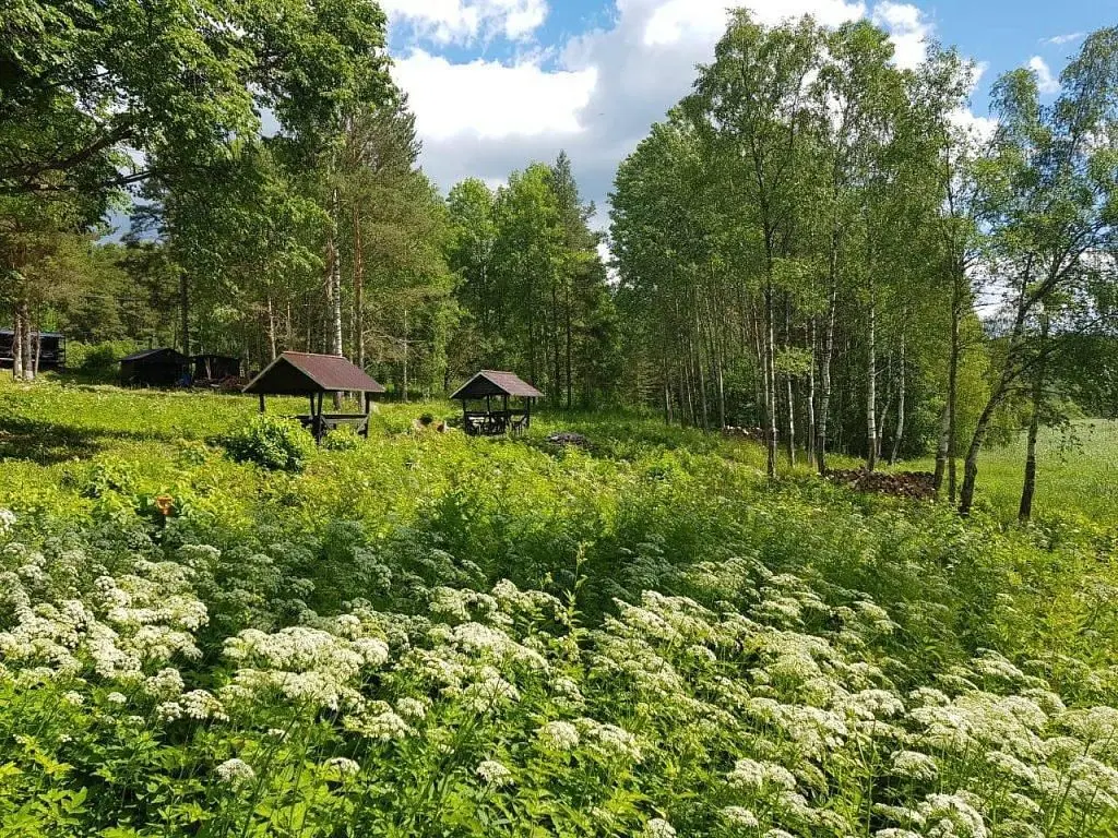 Кемпинг у Рауталахти, Республика Карелия: фото 3