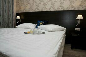 Одноместный номер Standard двуспальная кровать, Отель Gold Shark, Химки