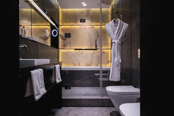 Люкс 2-местный (Премьер)