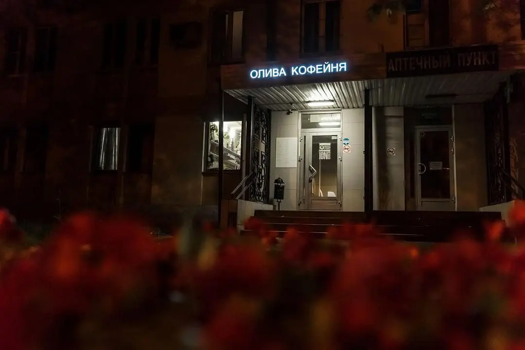 Внешний вид | Олива, Московская область