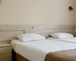 Двухместный номер Comfort 2 отдельные кровати, Туристический комплекс Экопарк Поляны, Варские