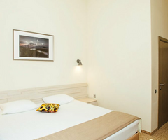 Двухместный номер Comfort plus двуспальная кровать, Туристический комплекс Экопарк Поляны, Варские