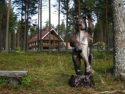 Малая медвежка, Республика Карелия: фото 3