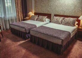 Двухместный полулюкс 2 отдельные кровати, Гостиница Али-Отель, Хабаровск