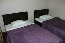 Двухместный номер Standard 2 отдельные кровати, Гостиница Афалина, Хабаровск