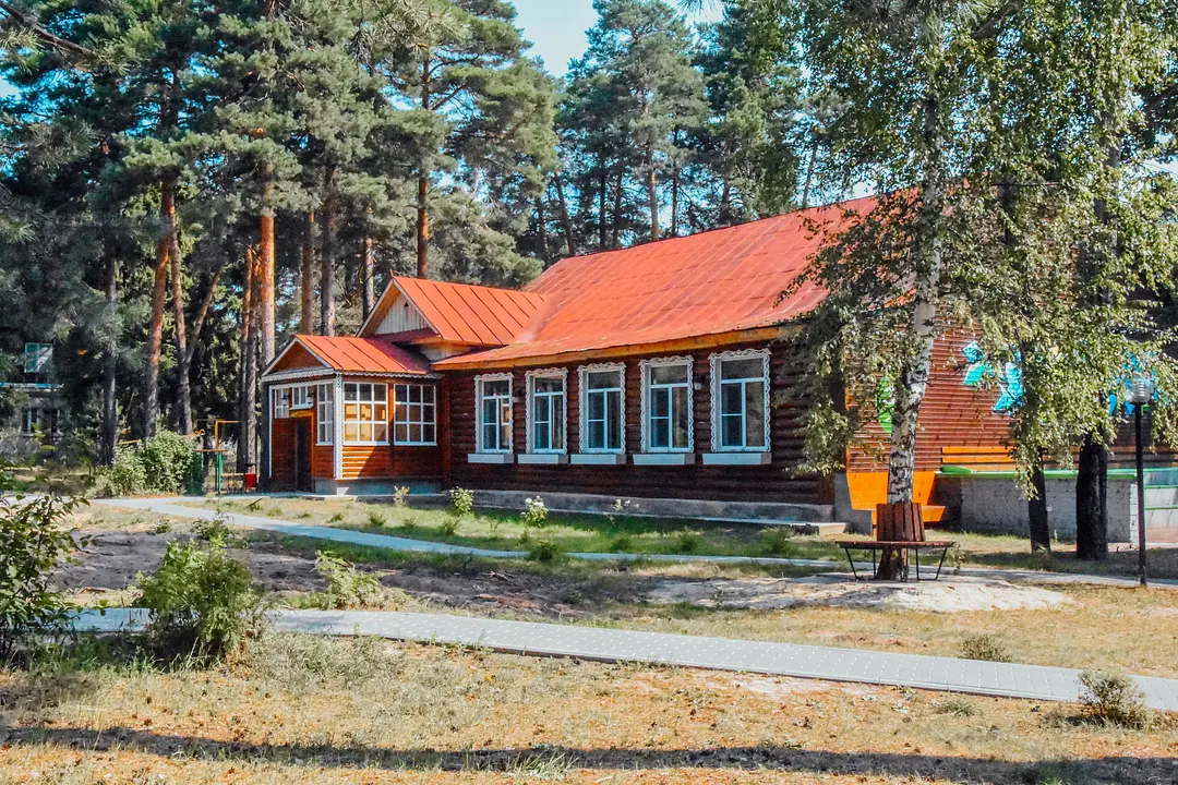 Алсма, Нижегородская область: фото 4
