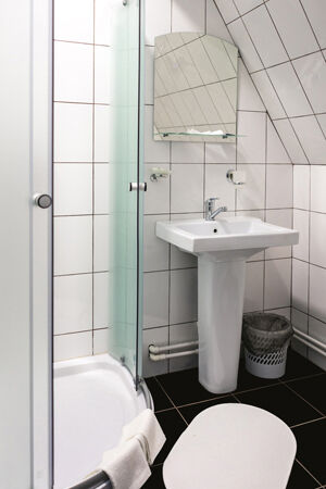 Стандартный 1-местный