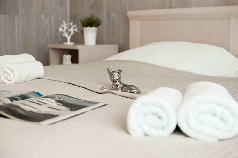 Апартаменты 2-местный 2-комнатный Sunny Svetlogorsk 13 (с видом на море)