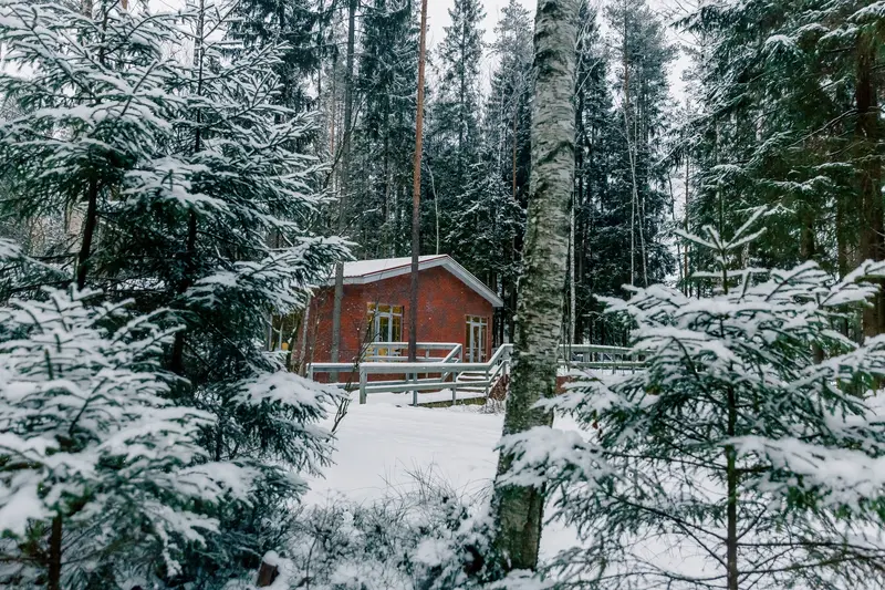 Коркино Lake, Ленинградская область: фото 2