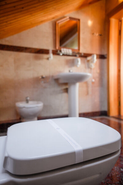 Люкс 2-местный 2-уровневый (Каминный, с малой гостиной)