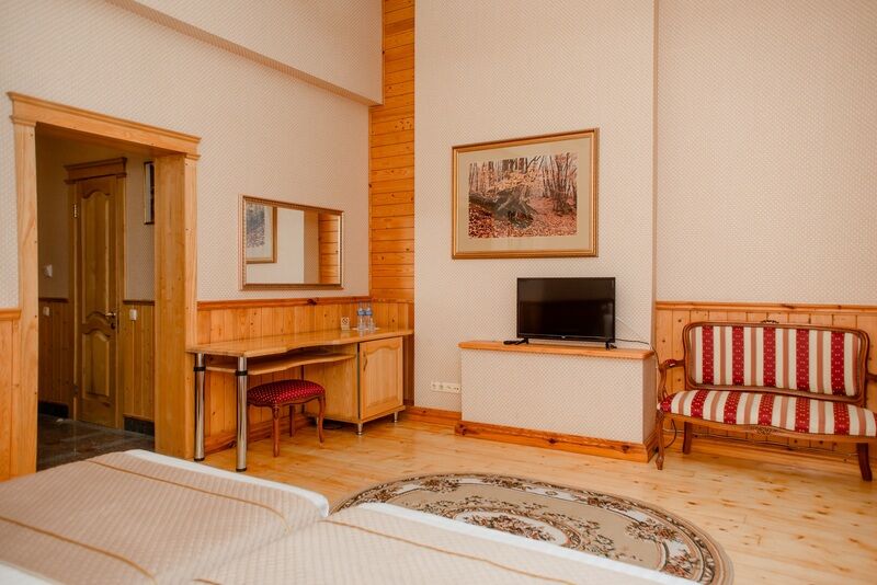 Студио 2-местный (вид на горы)