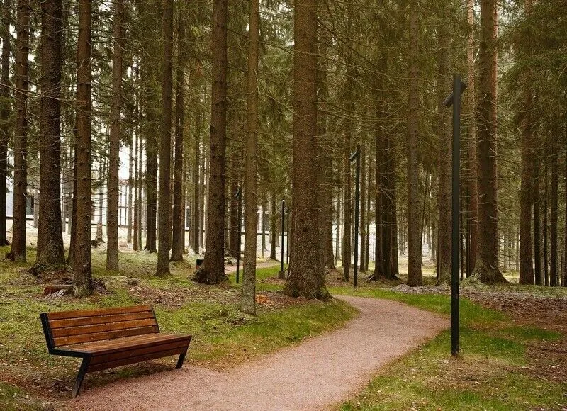 Территория | Игора. Времена Года, Ленинградская область